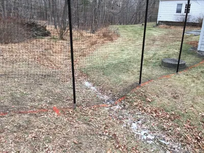 Photo of yard with house in the background