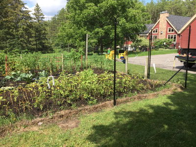 Neighborhood garden