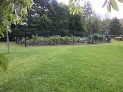 Vegetable Garden