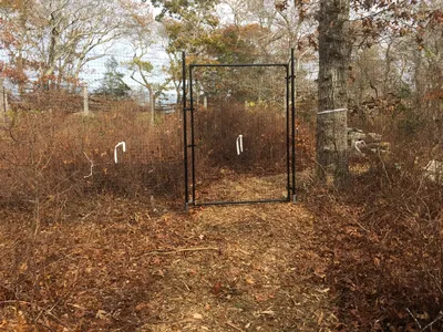 Fence scene outdoors