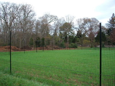 Deer Fencing