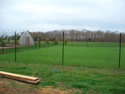 Photo of yard with lumber