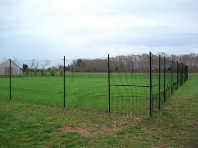 Summer yard with fencing