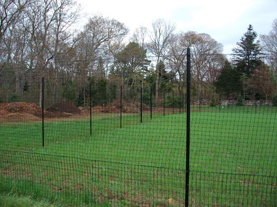 Deer Fencing