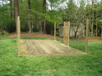 Backyard Fences With Wood Posts