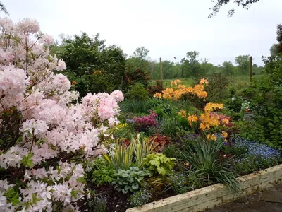 Outdoor garden photo