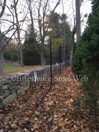 Garden With Metal Fence