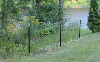 Garden Fencing Near River