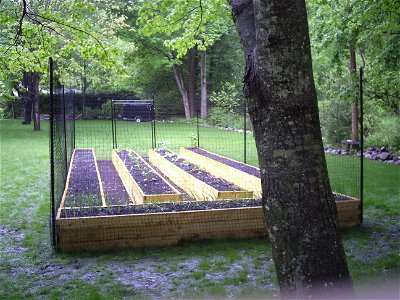 Small Garden Fence