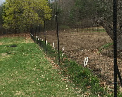 Armadillo Fence