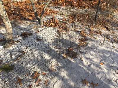 Benners Deer Fencing