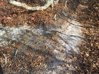 Benners Deer Fencing