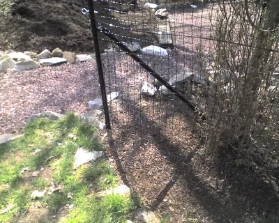 Backyard With Fencing