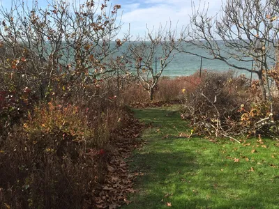 Coastal Area With Grass and Trees