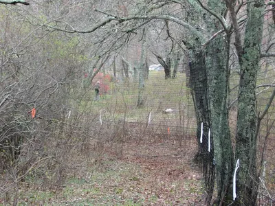 Forest Nature Trail