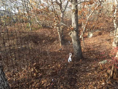 Coastal Area Fence