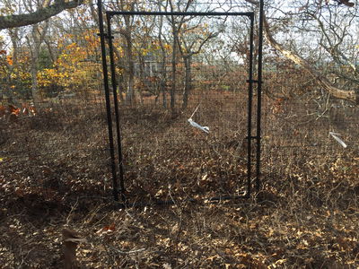 Deer Fencing