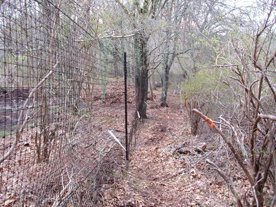 Deer Fence