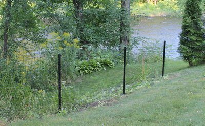 Patio Dog Fence